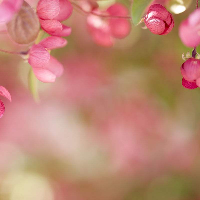 【混音】春暖花开的时候 - 2 伴奏封面