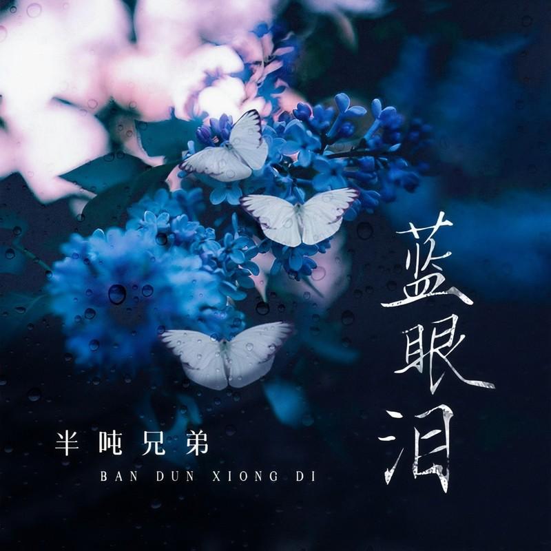 蓝眼泪 (伴奏)封面