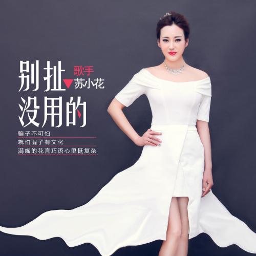 别扯没用的 (DJ何鹏版伴奏)封面