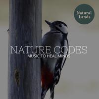 Nature Codes - Music to Heal Minds