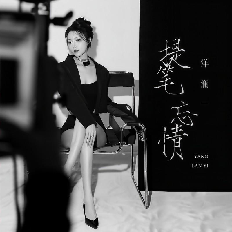 提笔忘情封面