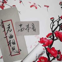 苏本音ya