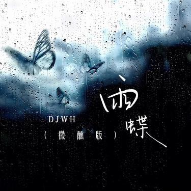 叹云兮 (DJ版)封面