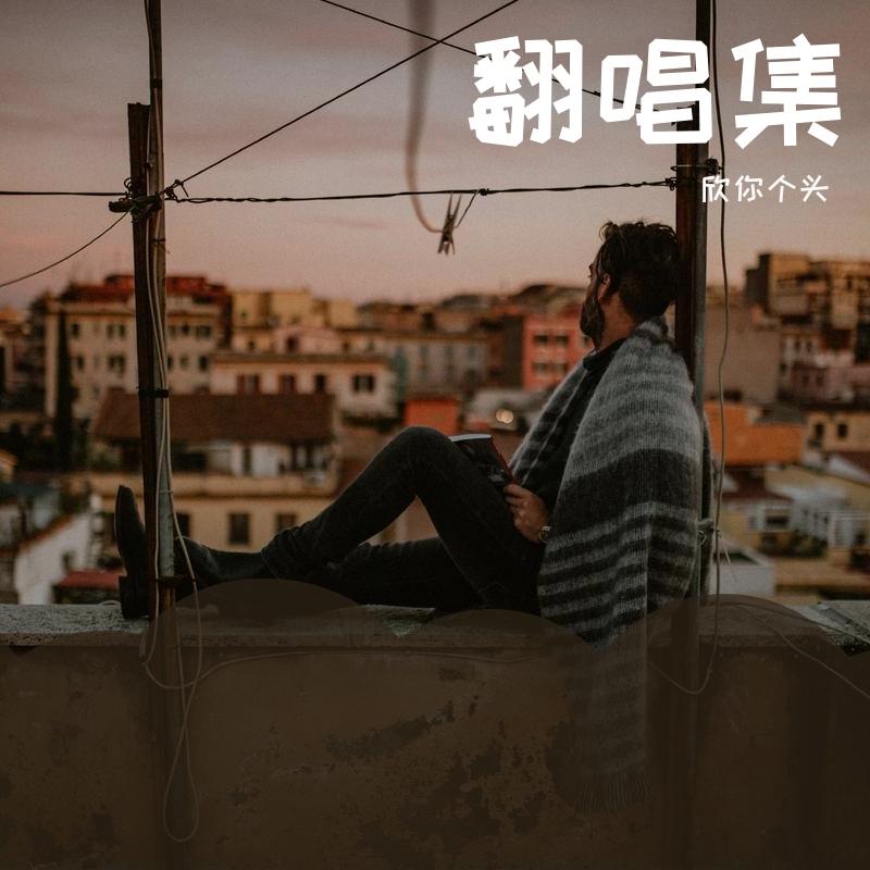 分开旅行（翻自 姚智鑫）封面