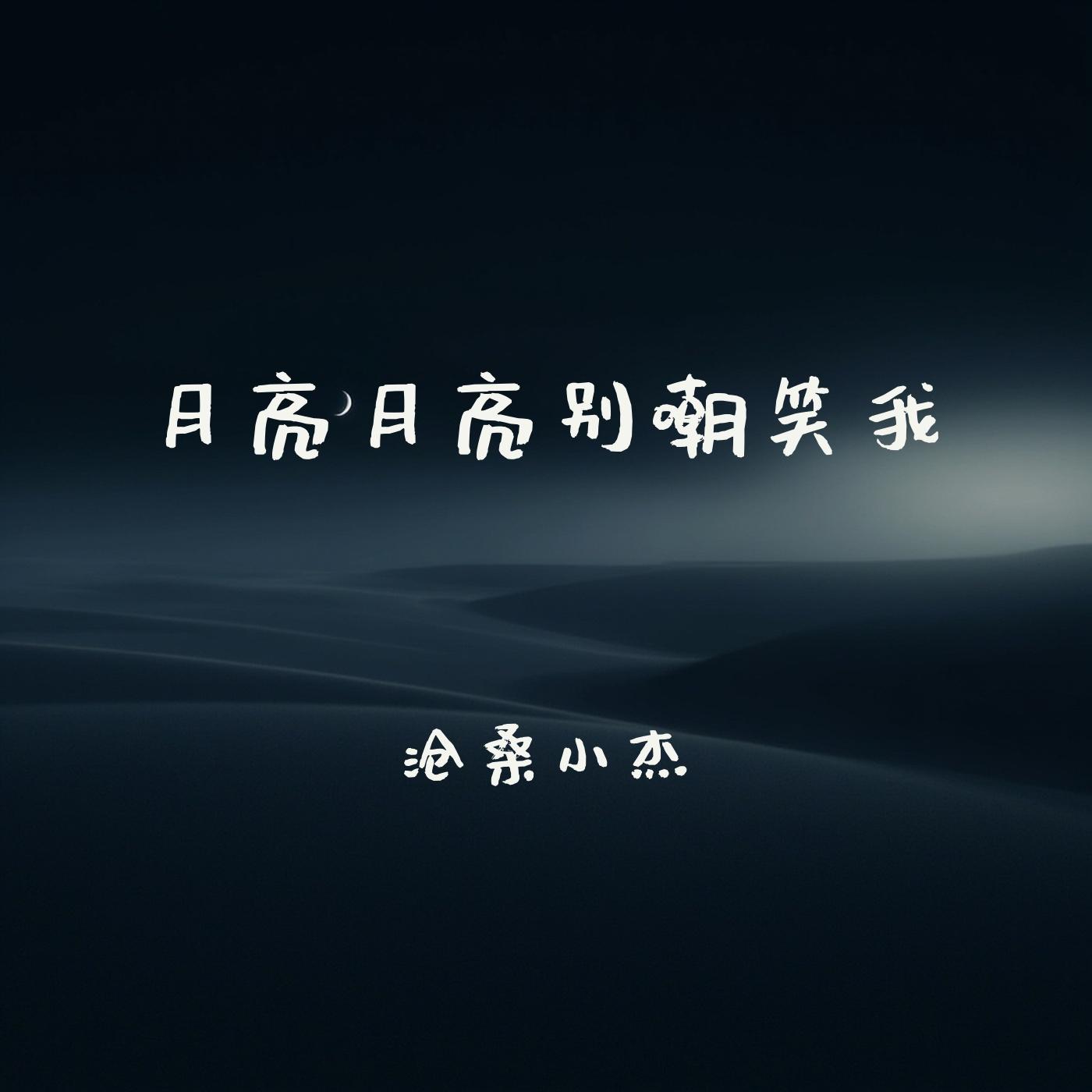 月亮月亮别嘲笑我 - 沧桑小杰封面