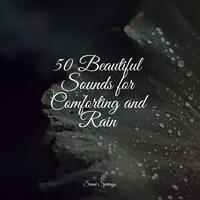 50 Beautiful Sounds for Comforting and Rain