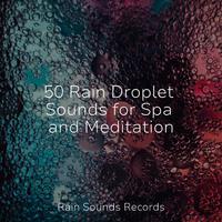 50 Rain Droplet Sounds for Spa and Meditation