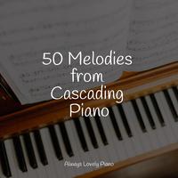 50 Soft Piano Pieces to Feel Your Mind