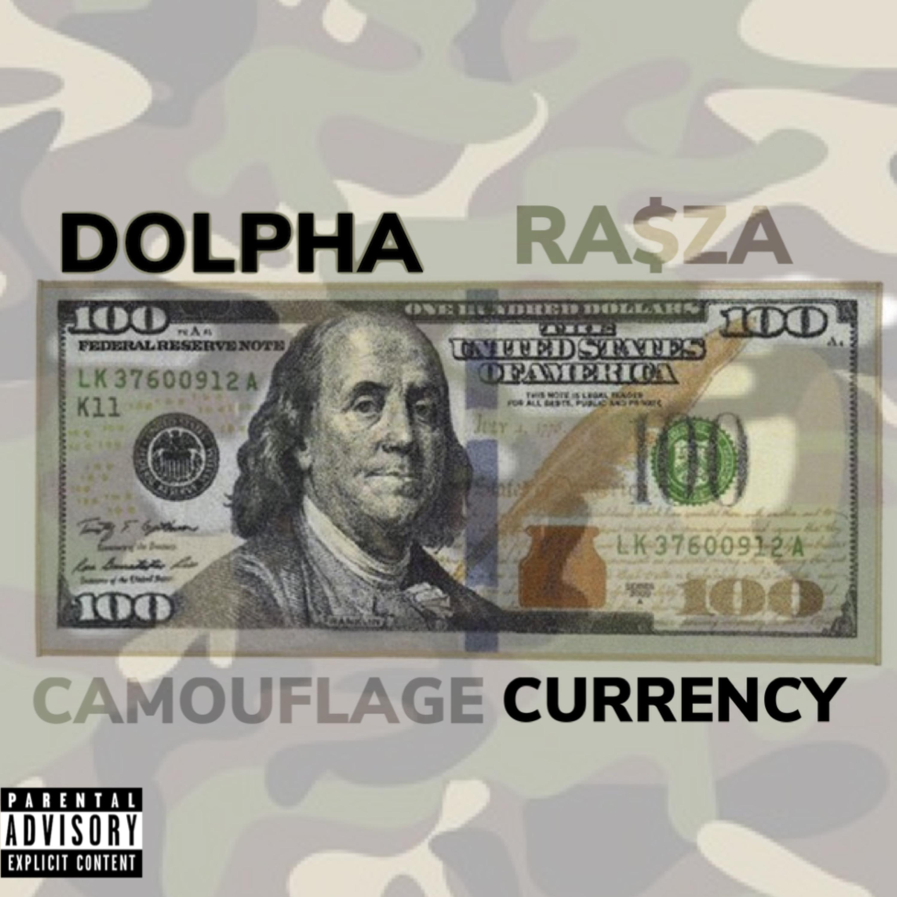 Camoflouge Currency