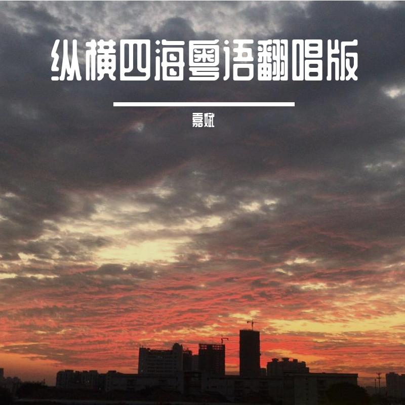 纵横四海(粤语) Mastered封面