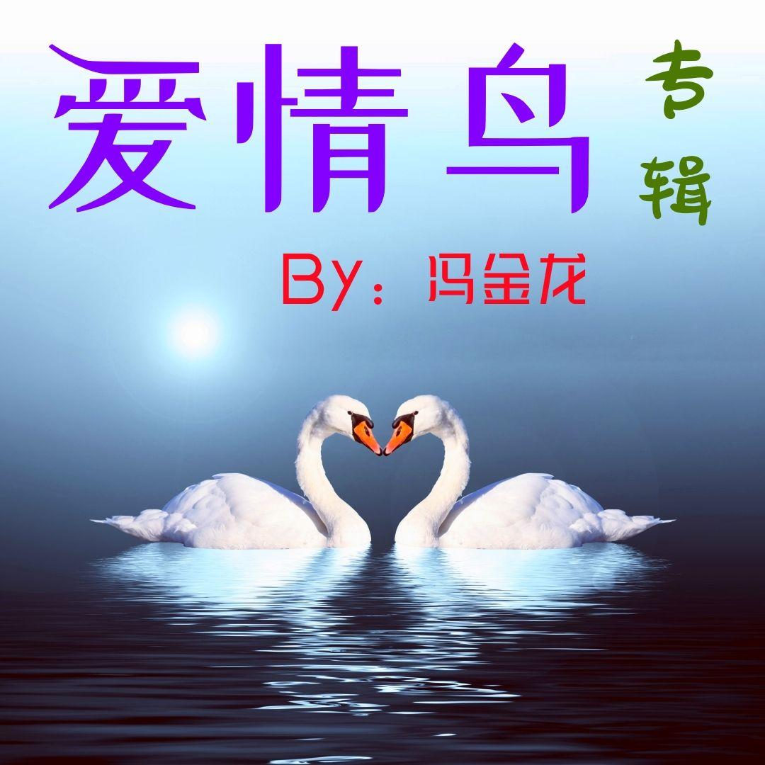 明明知道相思苦封面