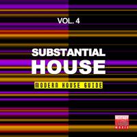 Substantial House, Vol. 4 (Modern House Guide)