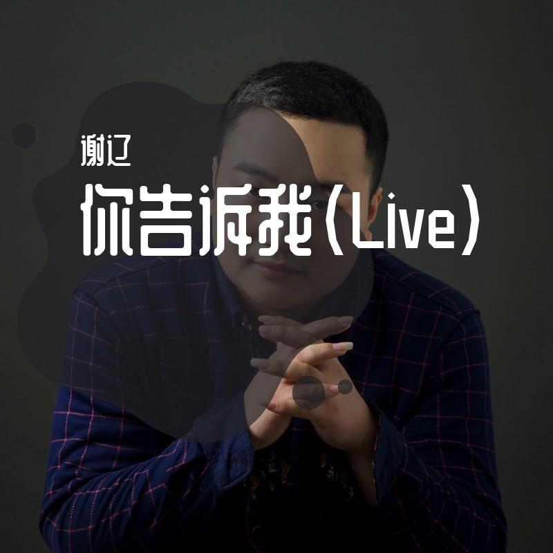 你告诉我(Live)封面