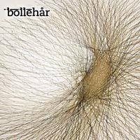 Bollehar