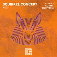 Squirrel Concept