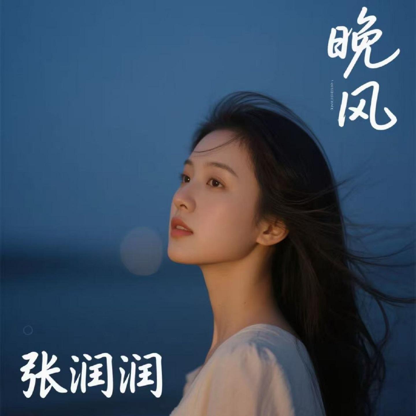 晚风 (烟嗓版)封面