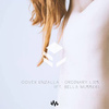 Covex - Ordinary Lies (Biscoln Remix)