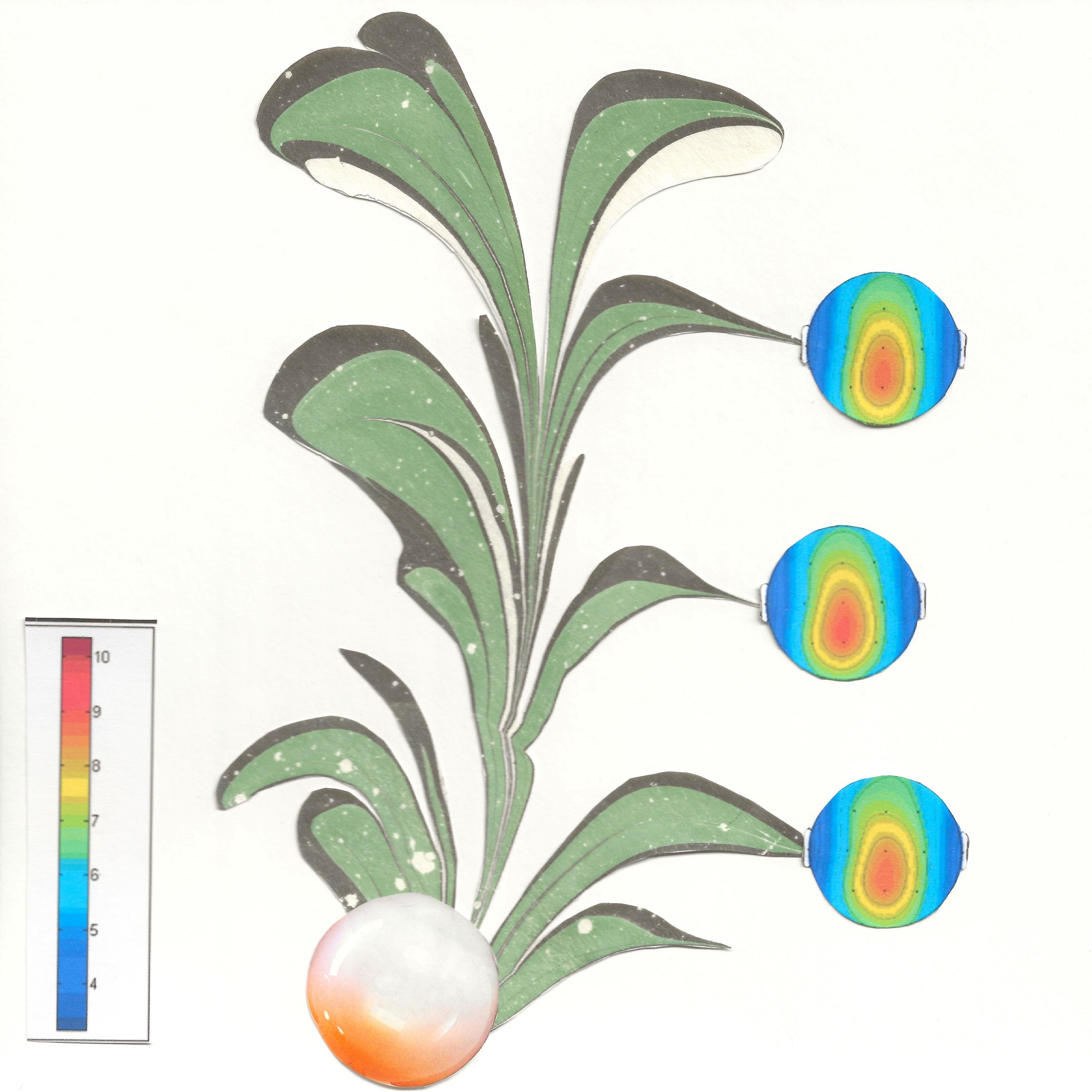 Binaural waves (Stimulus)