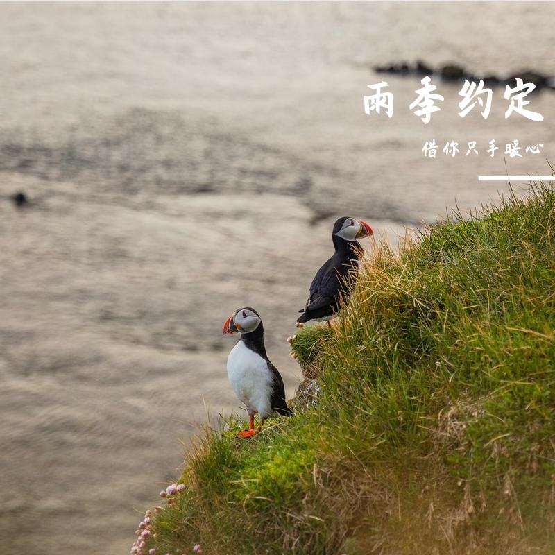 青梅煮酒 伴奏封面
