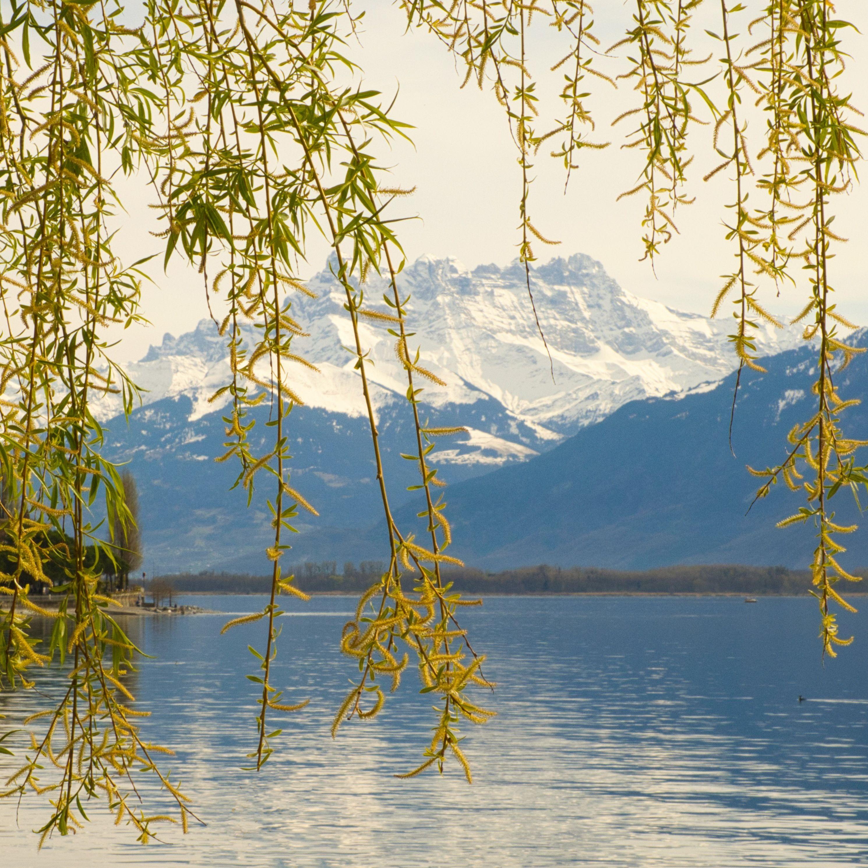 [FREE] "青柳岸" - 中国风 CHINA TYPE BEAT