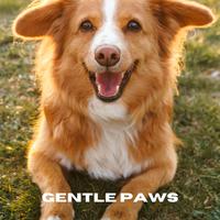 Gentle Paws