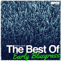 The Best Of Early Bluegrass