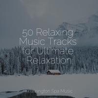50 Relaxing Music Tracks for Ultimate Relaxation