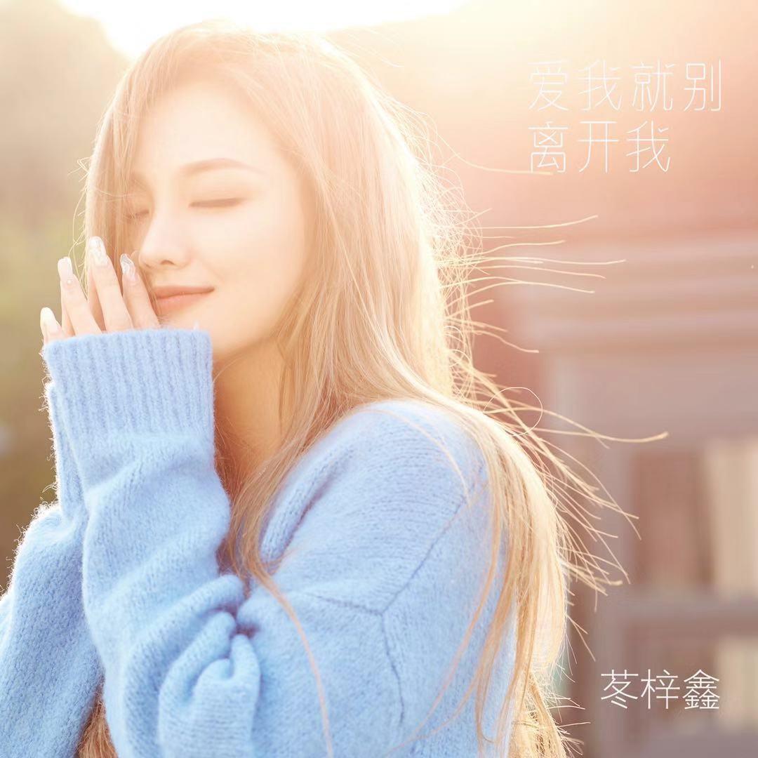 爱我就别离开我封面