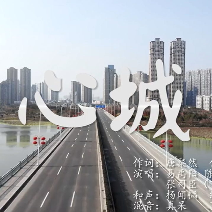 心城封面
