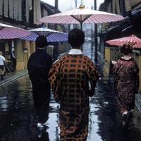 彭子曦