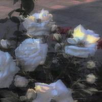 宇资料,宇最新歌曲,宇MV视频,宇音乐专辑,宇好听的歌