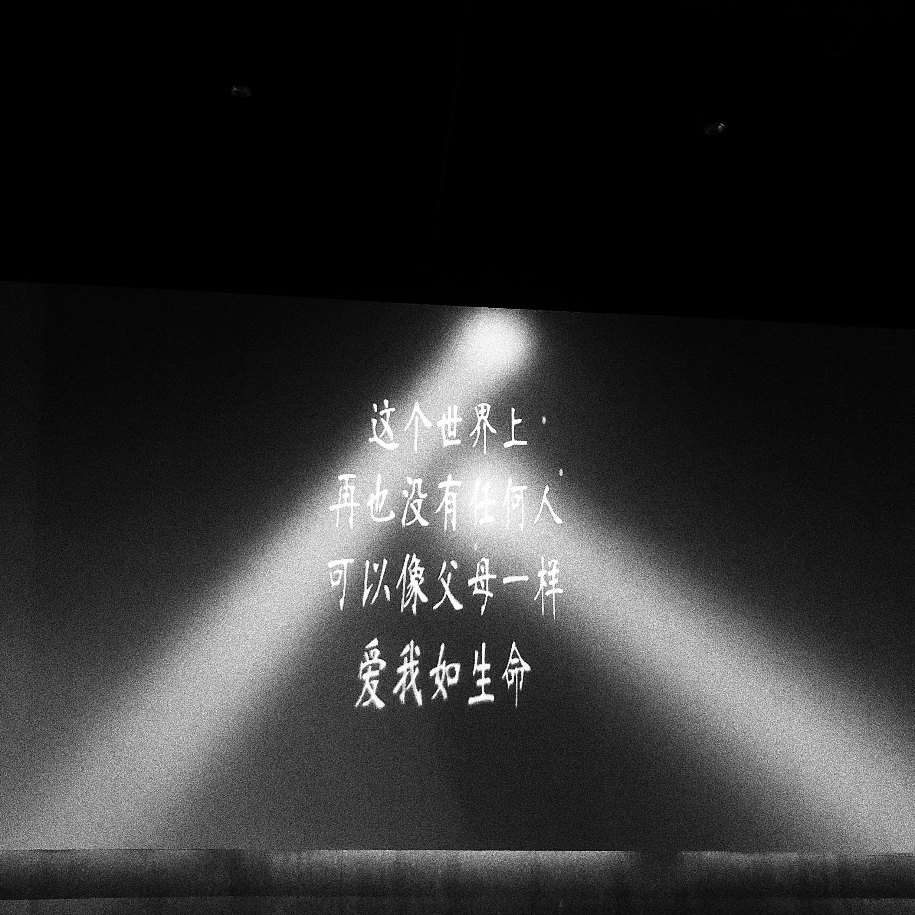 我用所有报答爱封面