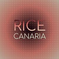 Rice Canaria