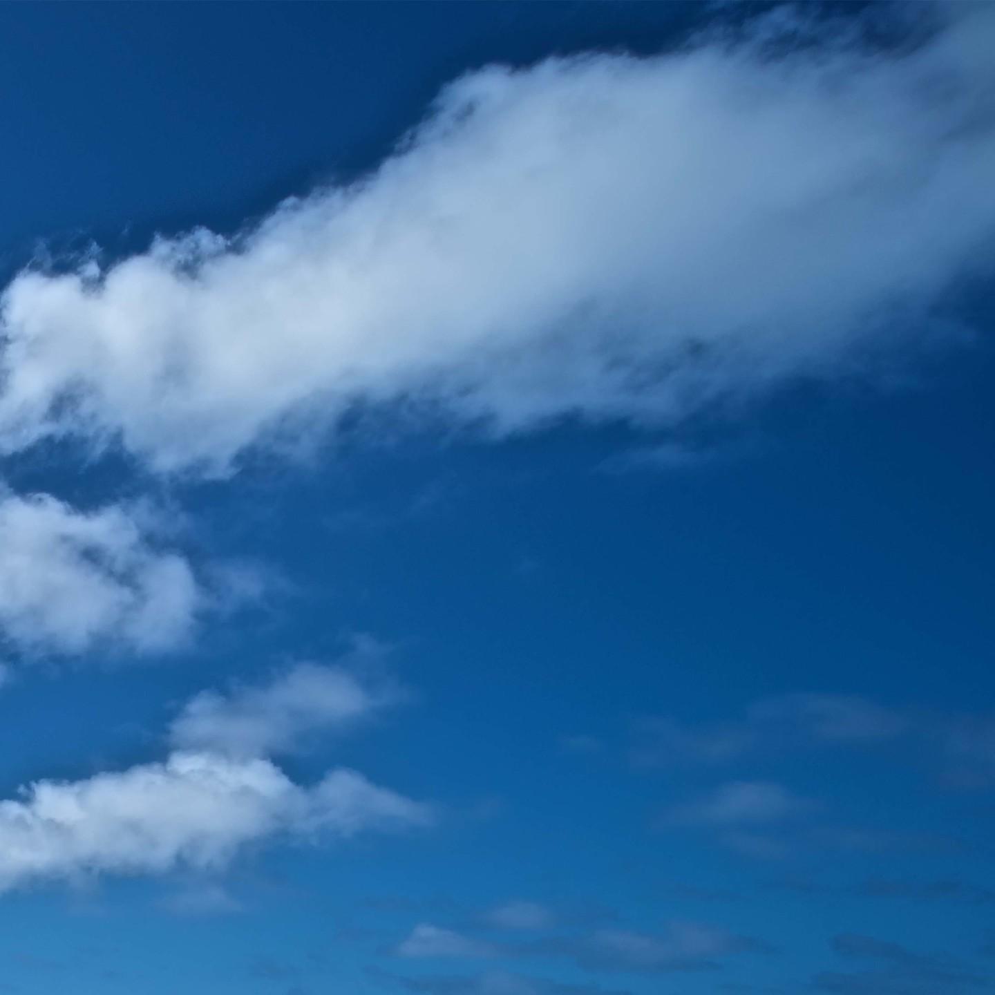 秀出你的龙年新皮肤