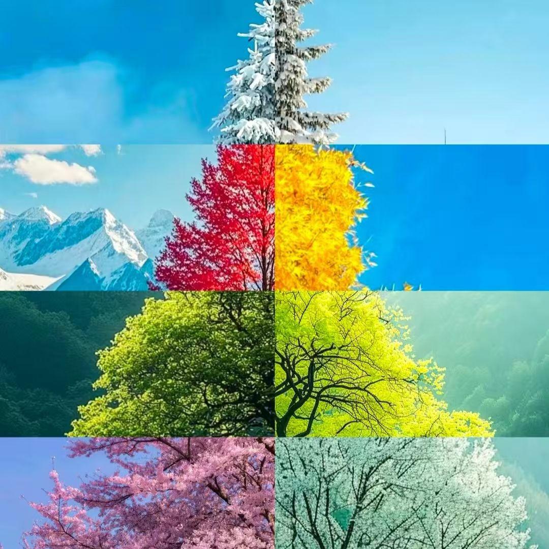 《永不落幕的节拍》 - 化生丶封面