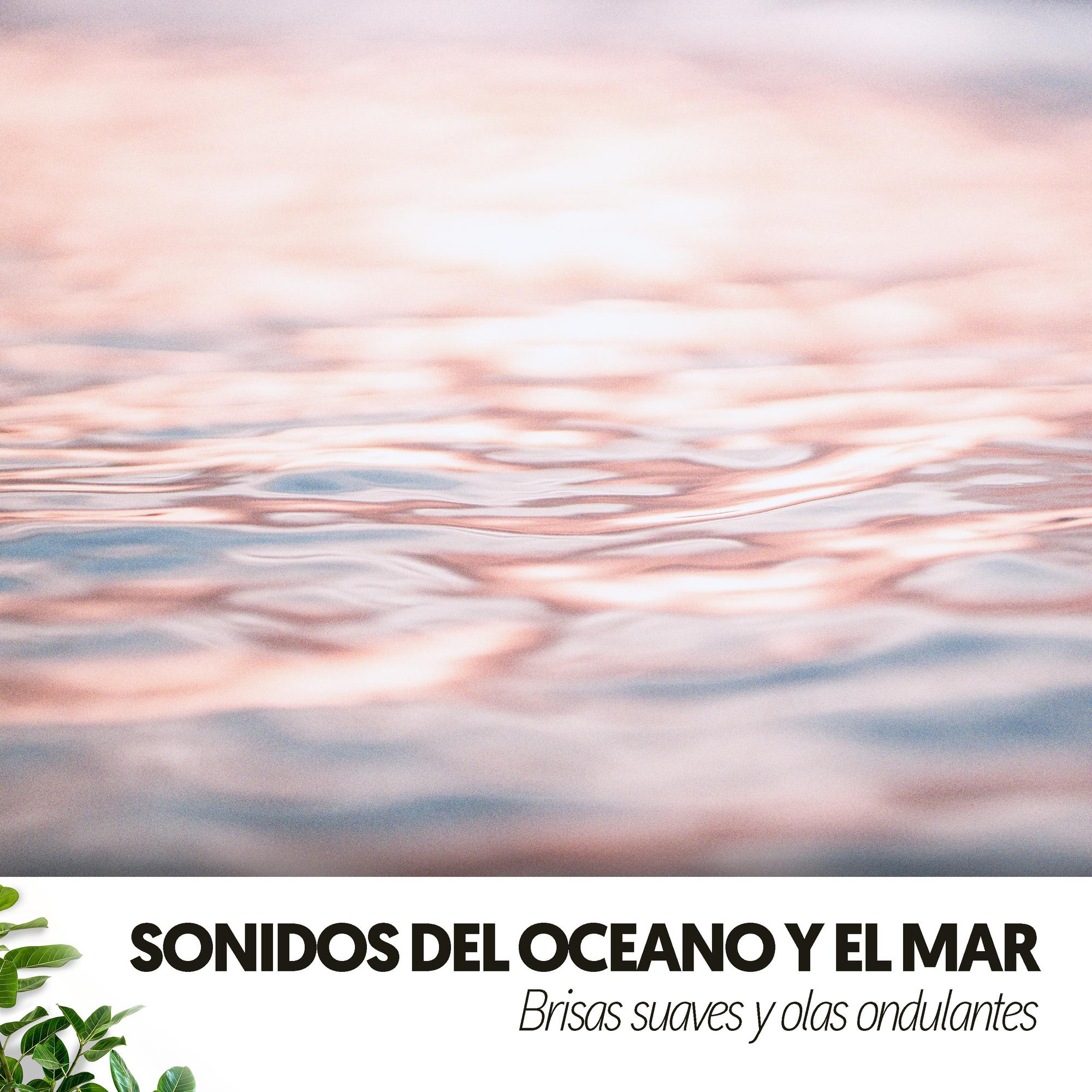 Suave rocío marino_Ruido Blanco Hart_Sonidos del Oceano y el Mar: Brisas suaves y olas ondulantes | 在线播放_Suave rocío marino歌词_Suave rocío marino下载 | 网易云音乐