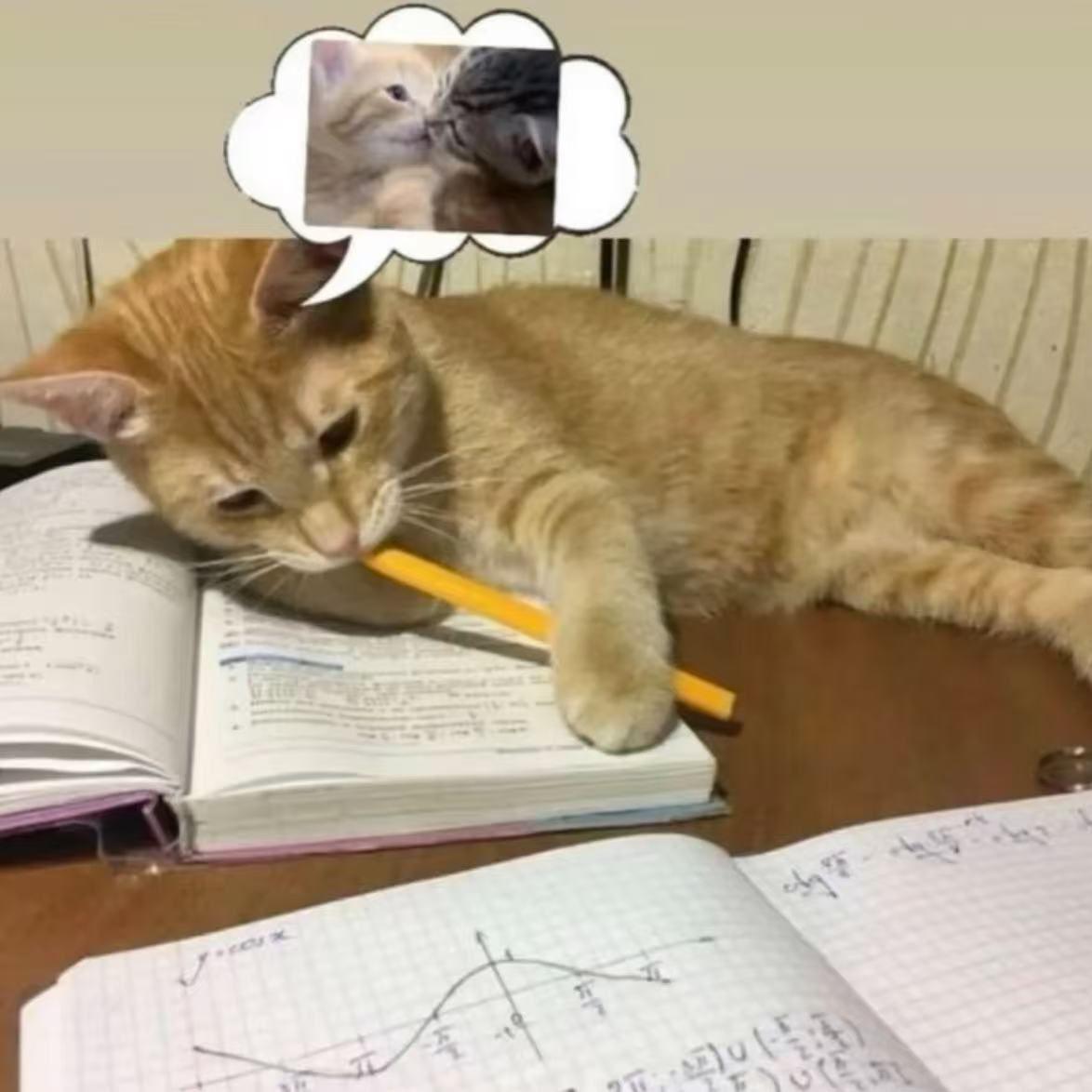 lazy x 网感 type beat “MissingU”