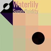 Waterlily Superfluidity