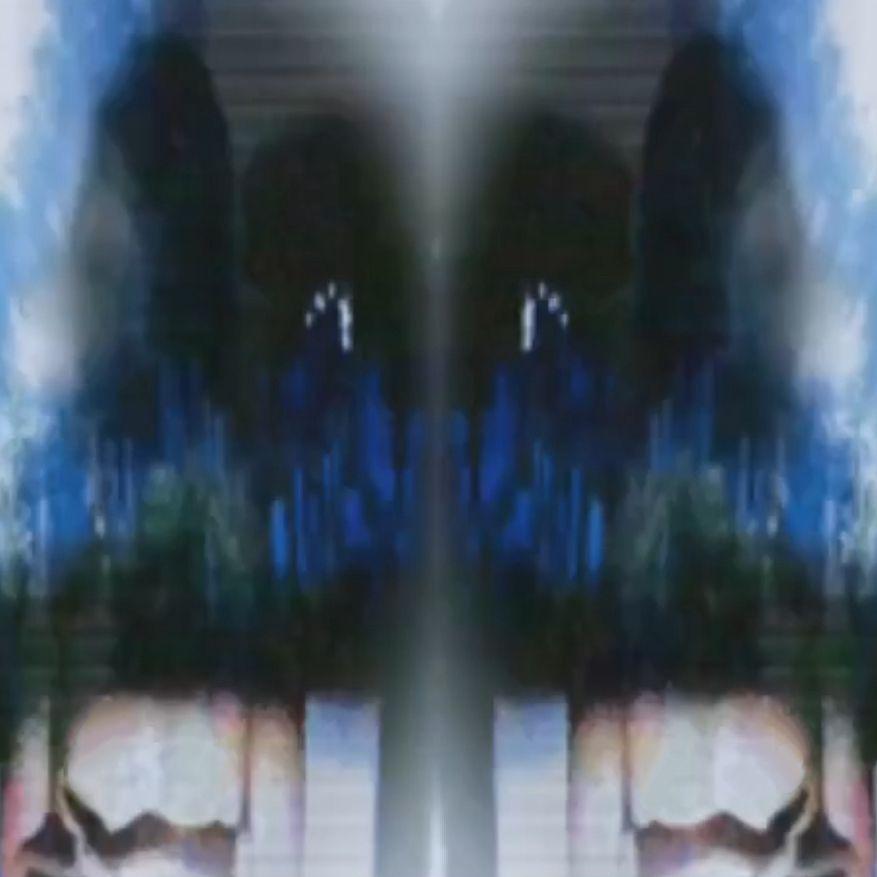 365只大象