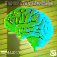 Trip My Brain