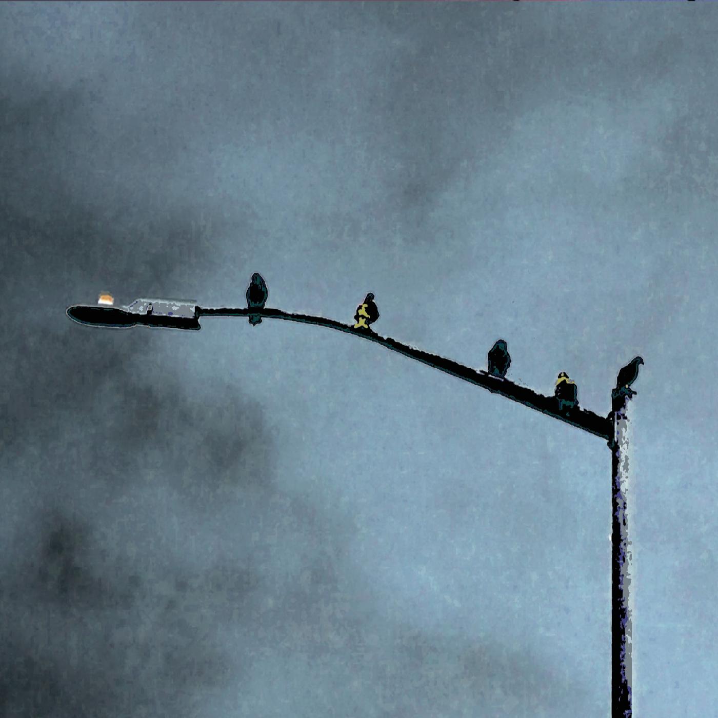 Dunning-Kruger Blues