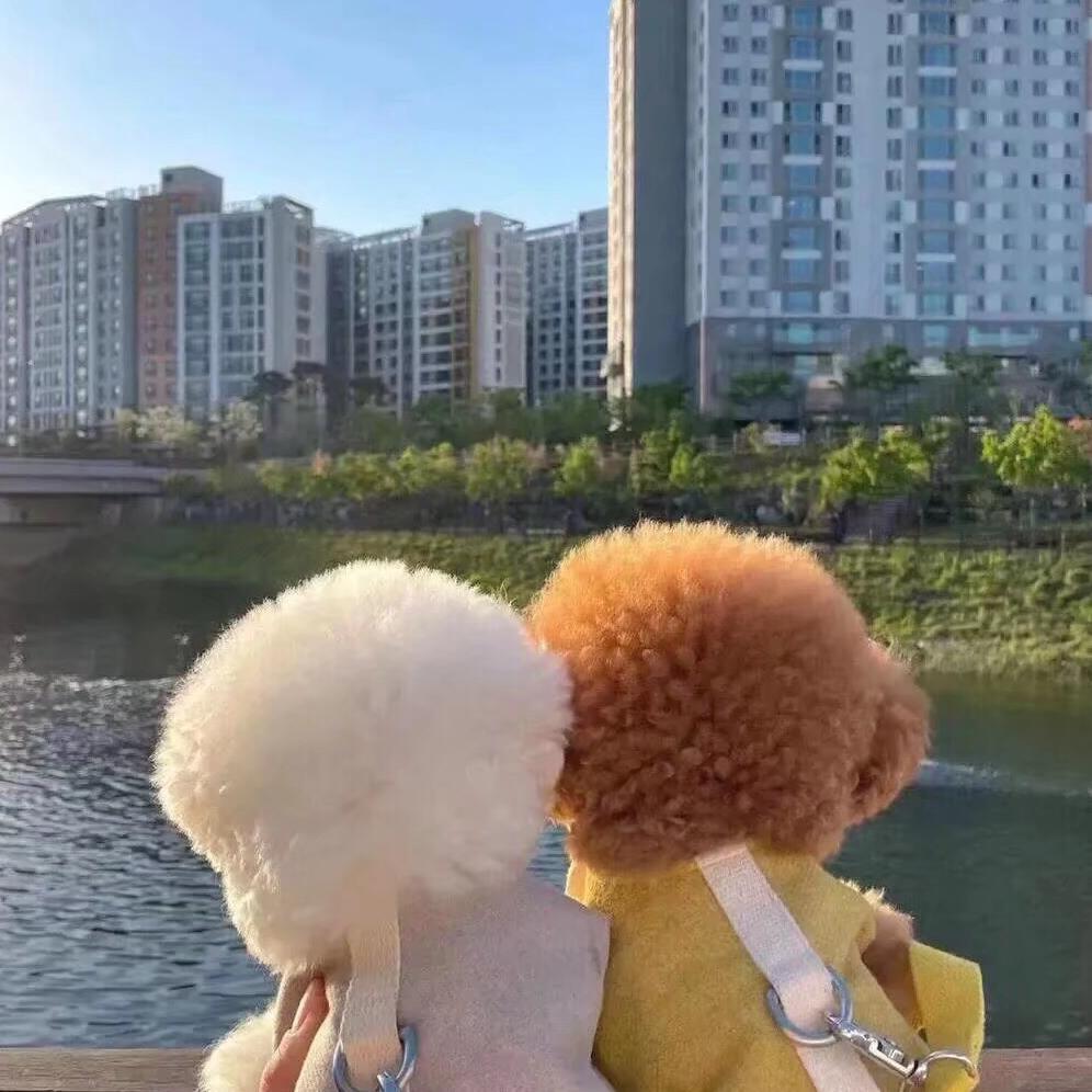 相见恨晚Live封面
