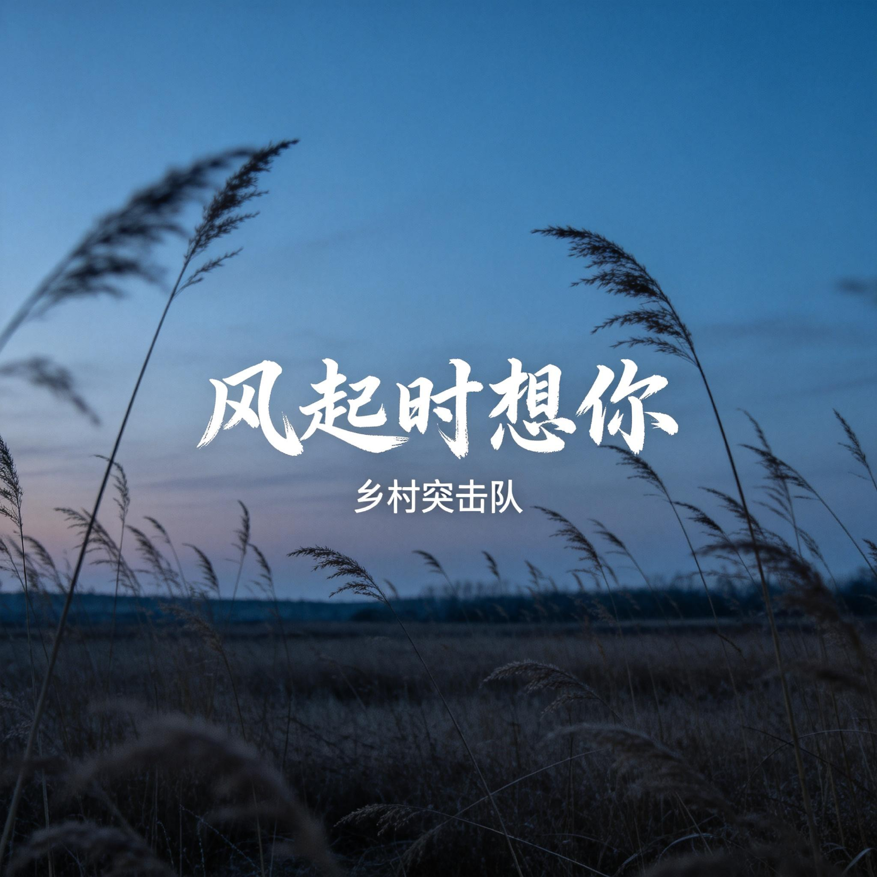 风起时想你（伴奏）封面