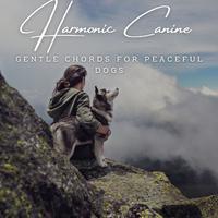 Harmonic Canine Serenity: Piano Melodies for Dogs