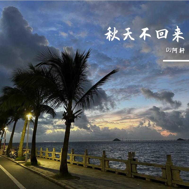 王强-秋天不回来（DJ阿轩 remix）