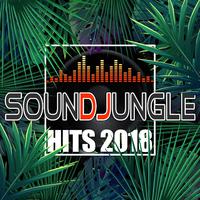 Soundjungle Hits 2018