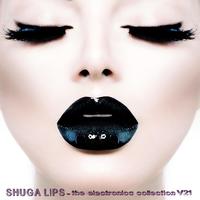 Shuga Lips: The Electronica Collection, Vol. 21