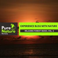 Experience Bliss with Nature - Relaxing Forest Music, Vol. 2