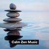 Transcendental Meditation - Meditation Hz