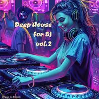 Deep House for DJ vol.2